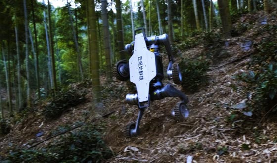 新浦金350vip山猫